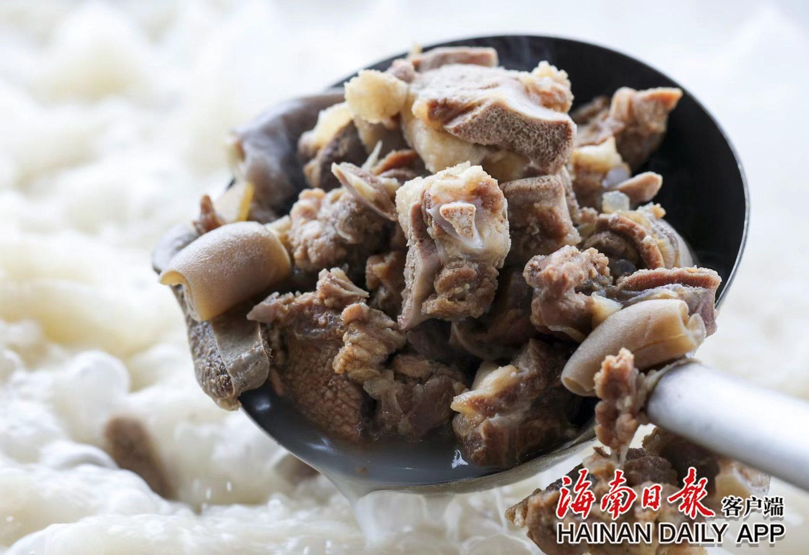 福禄东山羊 参考图 1