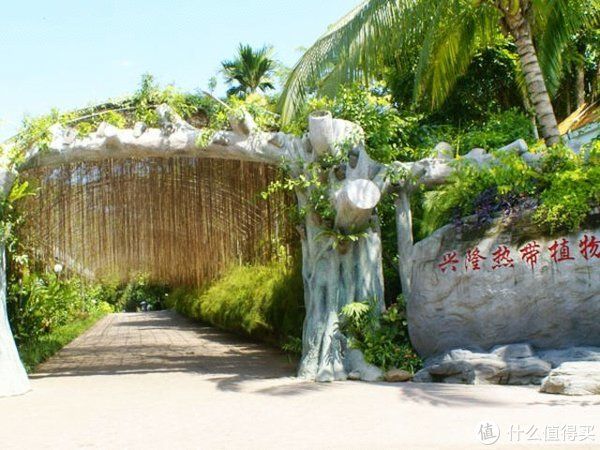 兴隆热带植物园 参考图 1